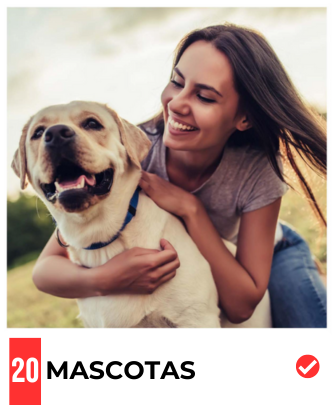 mascotas