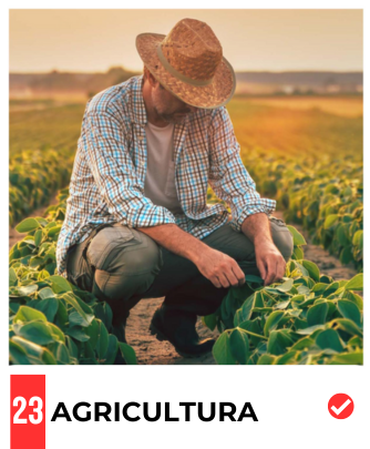 agricultura